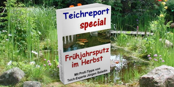 Teich reinigen im Herbst Wissen für Teichbesitzer