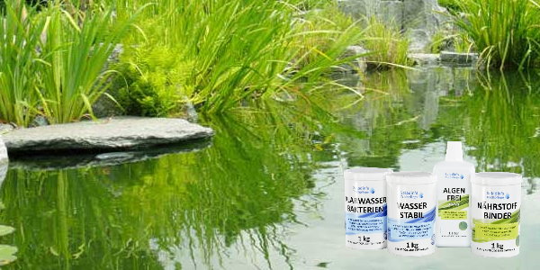 Algenblüte im Frühjahr vermeiden in Ihrem Gartenteich