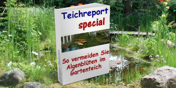 Algenblüten im Gartenteich vermeiden Teichreport special