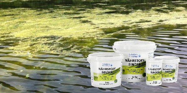 Algenvorbeugung im Teich durch Phosphatbindung