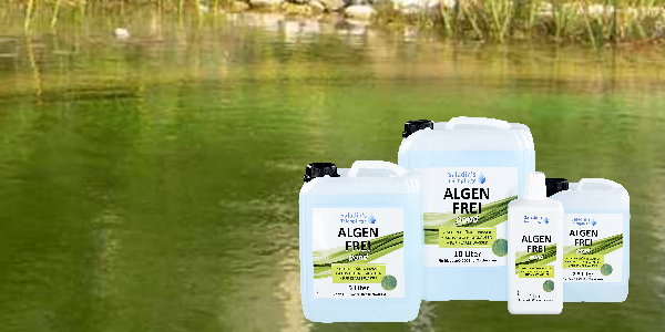 Was tun gegen grünes Teichwasser im Gartenteich?