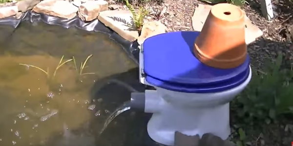 Teichfilter selber bauen Kurioser Teichfilter selbst gebaut
