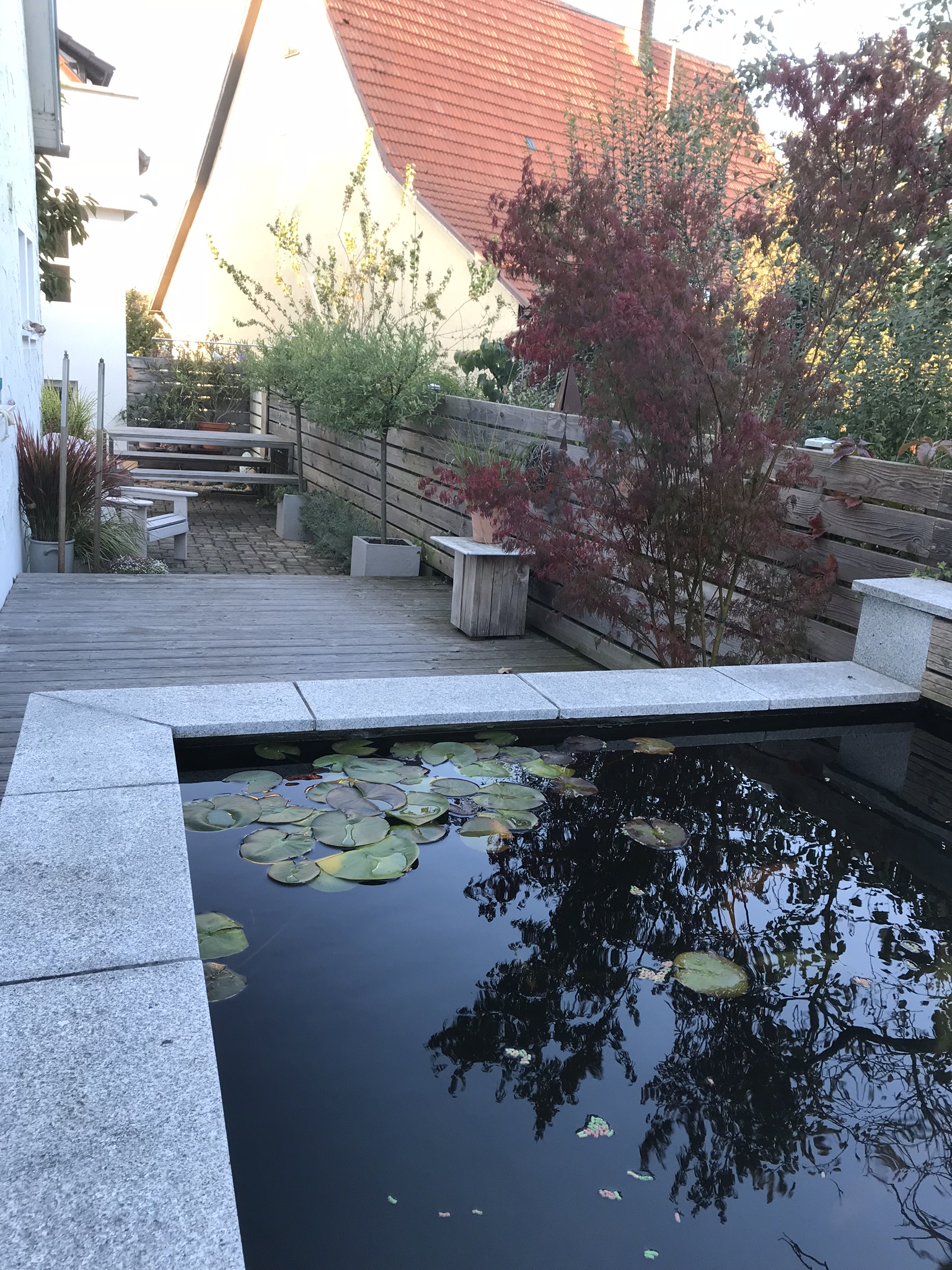 58+ Teich Hochbeet, Nun wollen wir im bereich der terrasse eine art