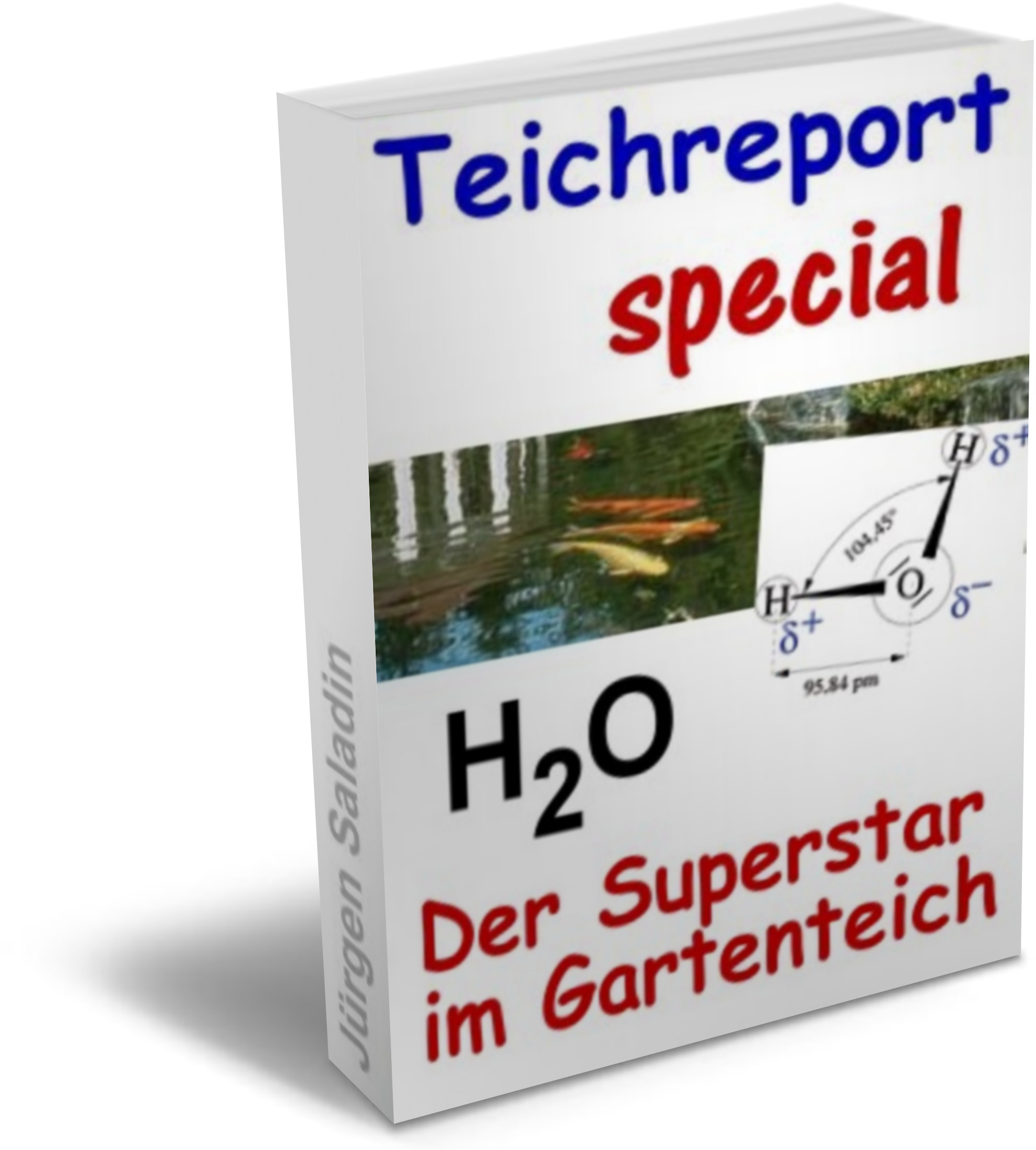 gartenteich probleme teichreport