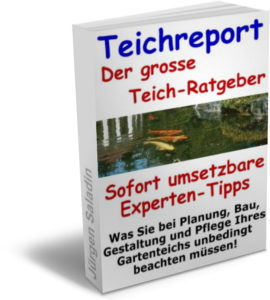 teichreport