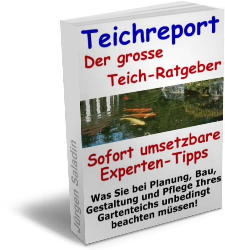Teichschlamm entfernen Schlamm aus Teich absaugen