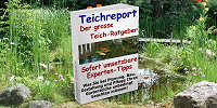 teichreport intern home