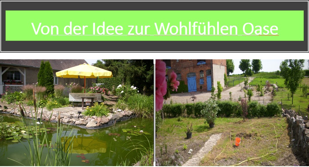 wohlfühlen oase teich mit fischen