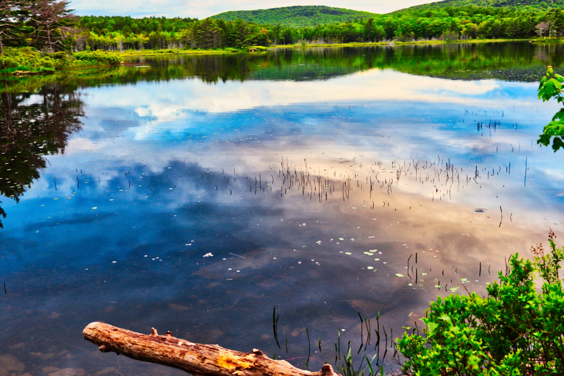 Wundervoller Teich