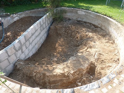 Gartenteich Umbau Pflanzbereich