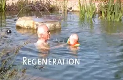 Regeneration im Teich