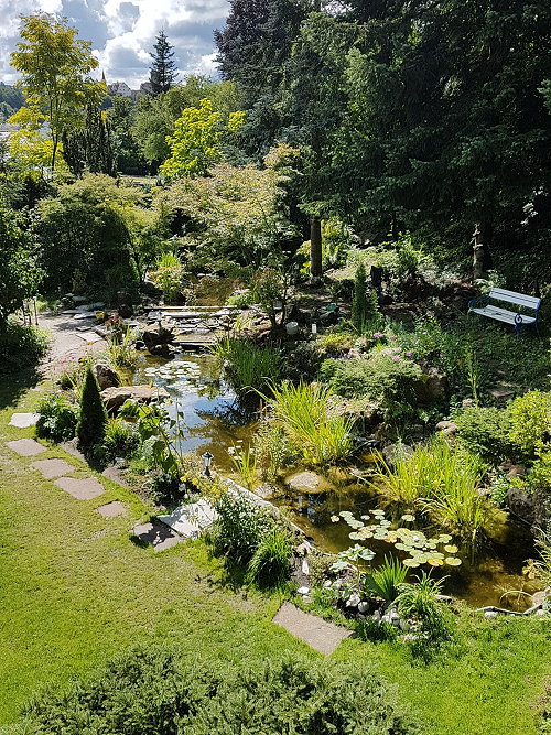 Teich mit Bachlauf