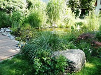 Blick auf Gartenteich