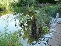 Gartenteich mit Steg