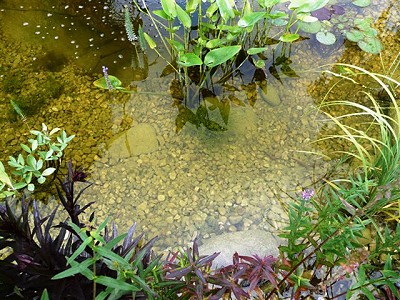 Klares Wasser bis zum Grund