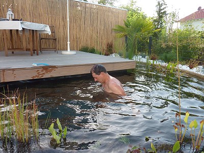 Teichpumpe reinigen Gartenteich