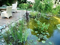 Terrasse am Teich