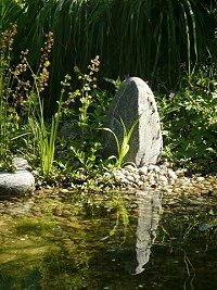 Wunderbar klarer Teich - großer Stein