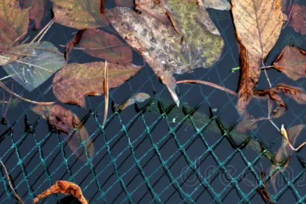 Teichschutznetz für den Gartenteich